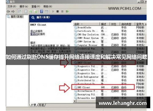 如何通过刷新DNS缓存提升网络连接速度和解决常见网络问题
