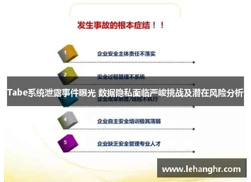 Tabe系统泄露事件曝光 数据隐私面临严峻挑战及潜在风险分析